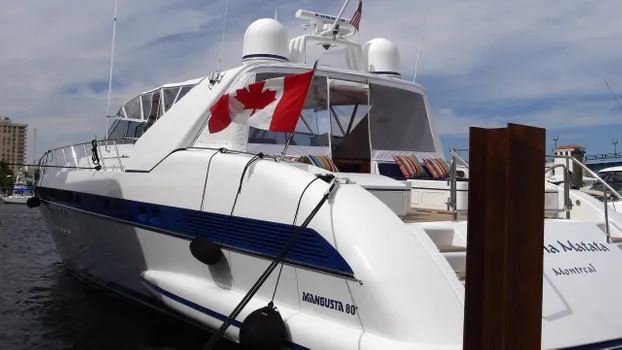 Ormarinemangusta