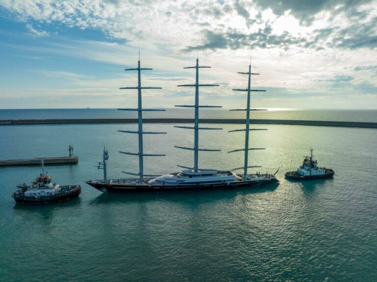 Maltese-Falcon_June_2023_3