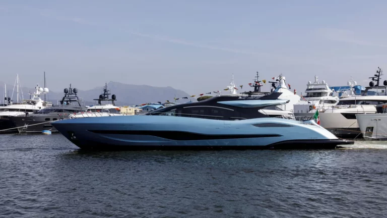 Mangusta-104