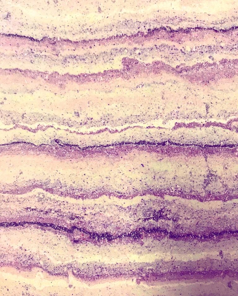 4F337911-457A-466B-9D70-C361B82083A4