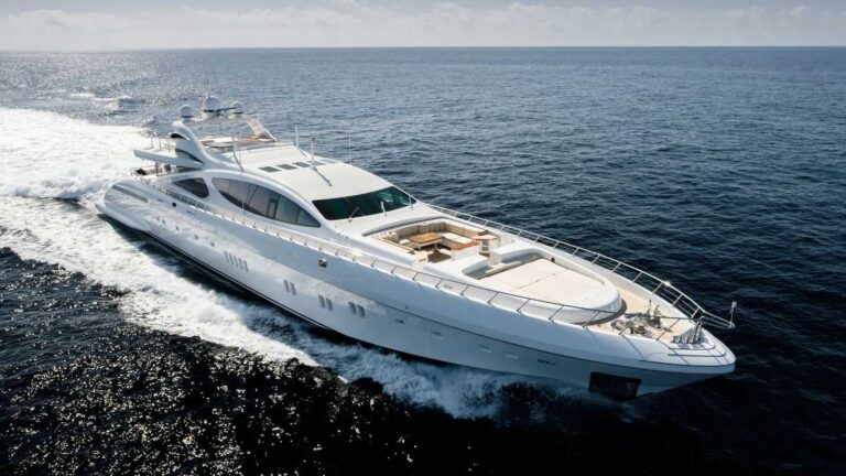 Mangusta royale-x- –