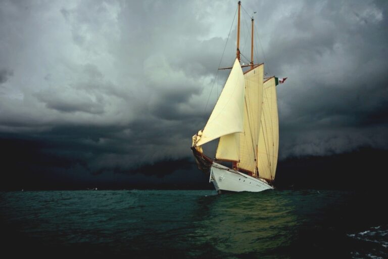 WhatsApp Image 2026-03-13 at 16.14.14