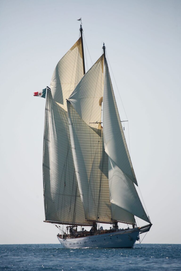 WhatsApp Image 2026-03-13 at 16.14.46