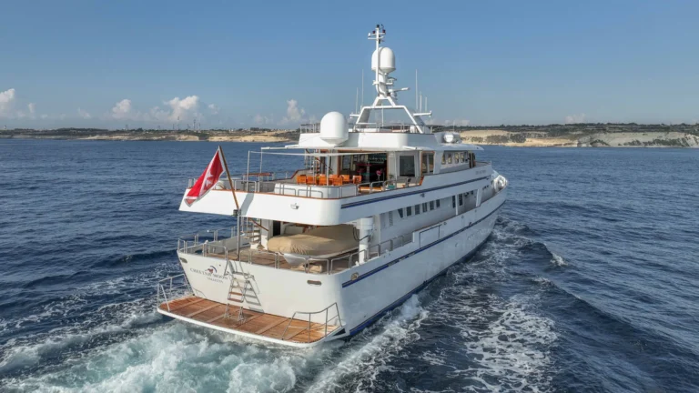 Cheetah Moon – da poppa