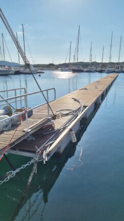 Ingemar Palau1