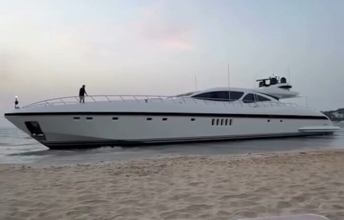 mangusta mrs grey